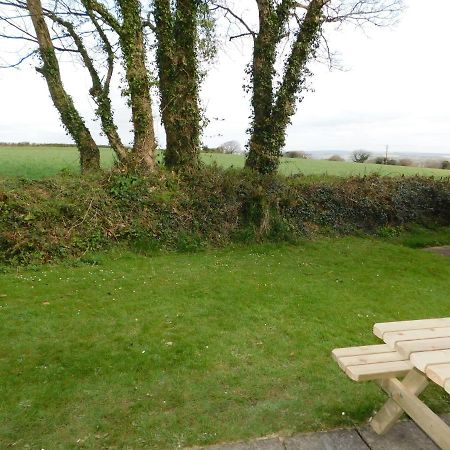 New Quay Primrose Cottage, Spacious 4 Bed House Near Newquay מראה חיצוני תמונה